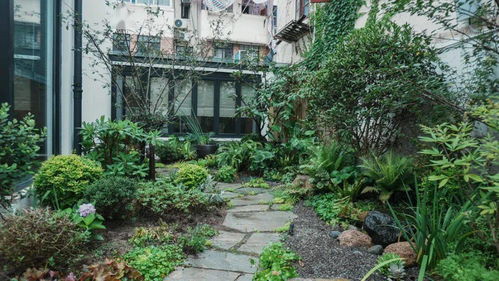 种院子植物， 四季花开不败的秘密