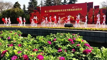 “调控牡丹花期，如何做到精准开花