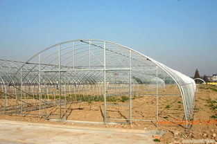 宏达生物农药科技有限公司， 实力雄厚