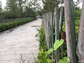 洛阳灵山莲花水城提醒您，购票需谨慎！