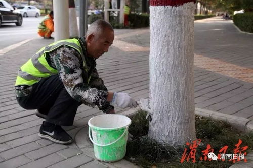 警示作用， 保护树木平安