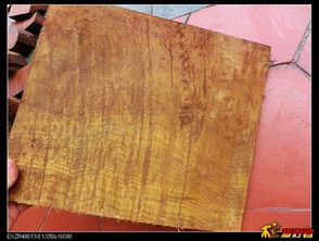 黄金楠木：金黄色的木材， 价值连城