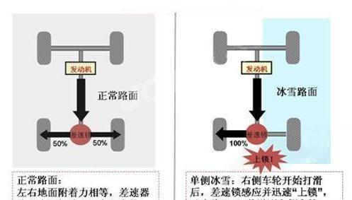 营养液配制比例是多少？这篇文章将为你详细解答