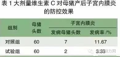 母猪子宫内膜炎反复发作，大剂量维生素C有效又经济吗？