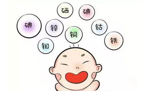 硼元素是胡萝卜生长过程中不可或缺的微量元素