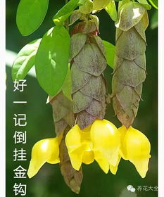 非法采挖如何遏制？