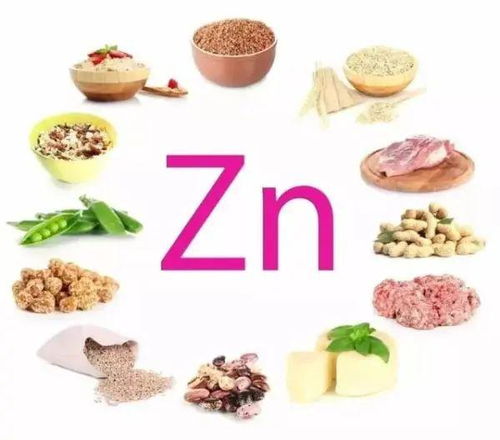 饲料中蛋白质对动物生长发育和免疫力的作用有哪些？