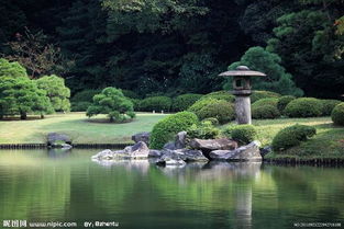 城市园林绿化现状，你了解多少？