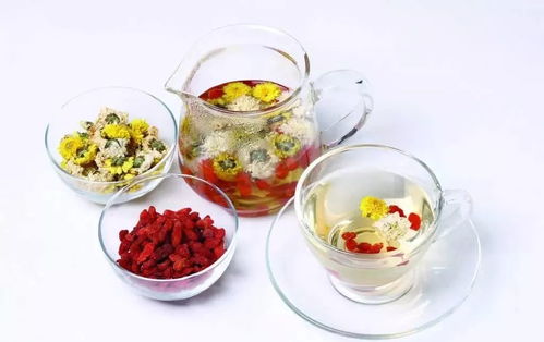 蛾子，那个讨厌的家伙！