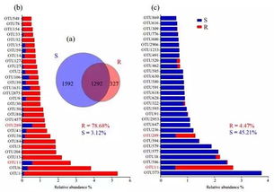 全球变暖给入侵植物加速