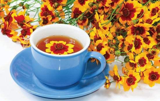 菊花茶加生姜泡饮，养生效果如何
