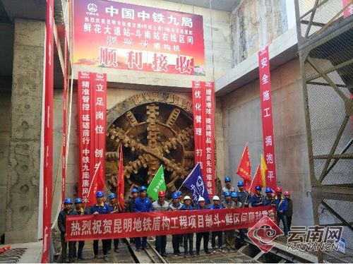 乘坐地铁3号线至斗南站下车，步行至斗南花卉市场