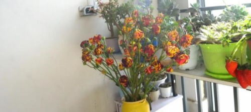 玫瑰花干花制作，如何留住美丽瞬间