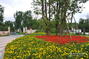别墅花园草坪种植指南：草坪与花卉搭配秘籍