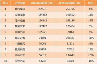2024年中国饲料销量排行榜中，饲料消耗用量最高的企业是哪家？