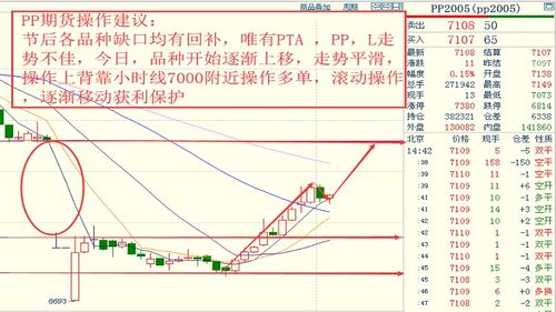 大规格高品质苗木：提升景观的档次