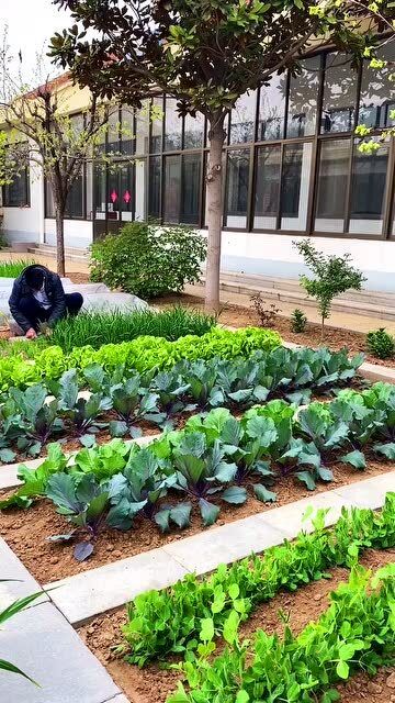 接着，要学会给菜浇水。