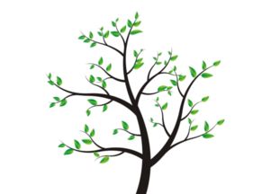 不一样的修剪，不一样的花景