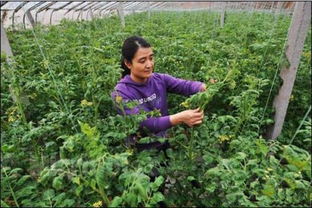 亳州菜系，融合了南北风味