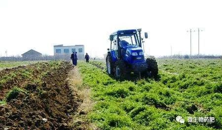 三华李病虫害防治技术中，如何有效运用生物防治方法降低病虫害发生