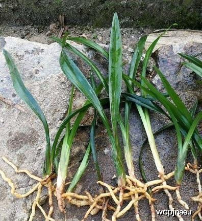 血泪教训， 记住了没