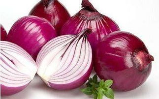 揭秘洋葱的采收与保鲜技巧，花卉养护必备指南！