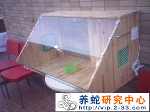 小规模室内黄粉虫养殖技术，探讨黄粉虫养殖的基础知识及操作方法