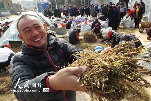 种子与土壤的“婆媳矛盾”