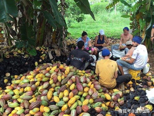 非洲人的幸福生活
