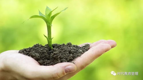 土壤板结问题：如何解决