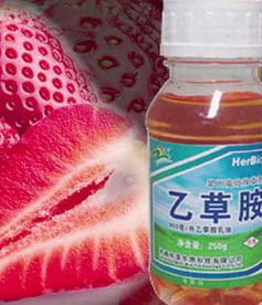 乙草胺过量使用可Neng导致哪些健康问题？