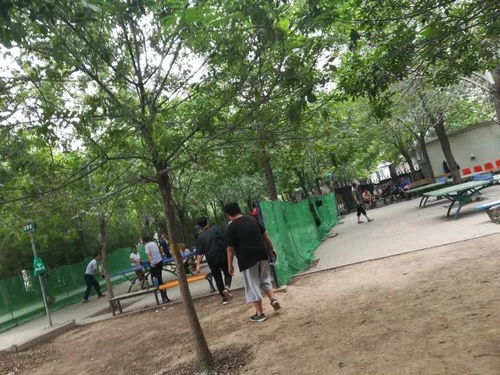 第六步：浇水施肥