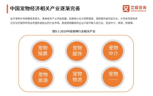 揭秘蓝蝴蝶：渔业界的神秘符号，引领潮流趋势！