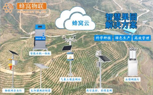 揭秘水循环：农业灌溉的地理智慧与高效实践