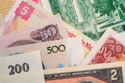 购买雪松时需要注意的品种差异