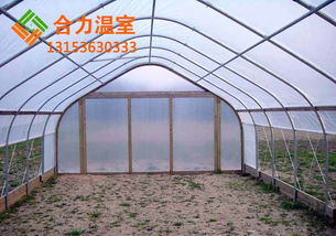 将塑料布和支架搭建简易温室，如何让后半部分成为植物生长乐园