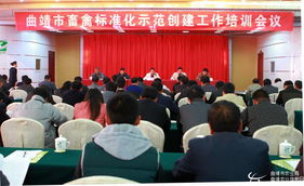 高鸿宾强调：持续强化畜禽规模养殖标准化