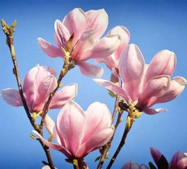 种子发霉怎么办？