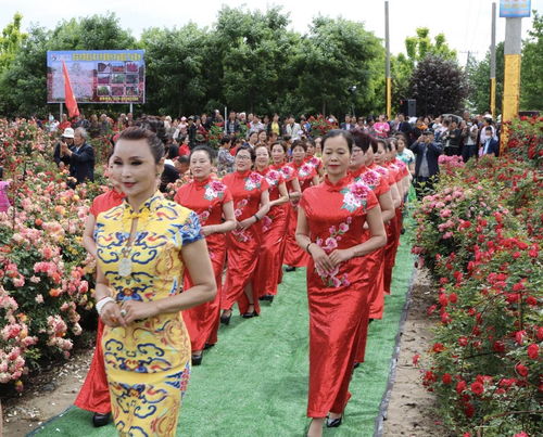 花海如梦，月季花节盛大开幕