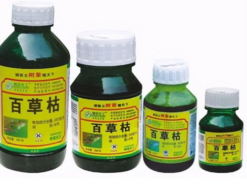 百草枯的副作用：凶险与挑战并存