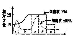 机械拌种的奥秘