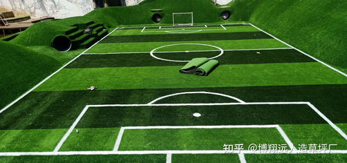 足球场草坪的秘密：绿得任性，原来是这样的！