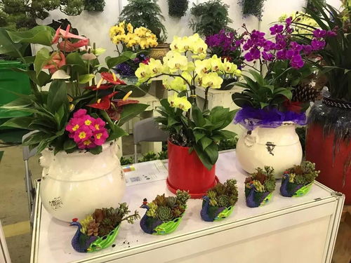 2024中国(萧山)花木节盛大开幕