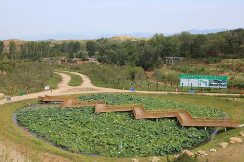 生态农业， 全面发展