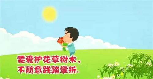 中班爱护花草树木爱护花草教案