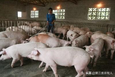 冬春季猪腹泻新病源来袭，养猪人该如何严防死守呢？