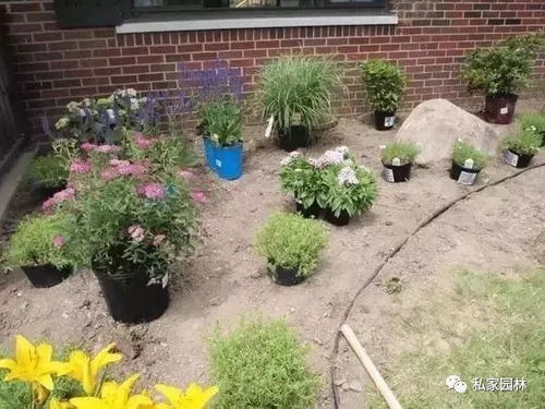 耐水嫩力要过硬