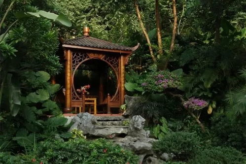 四、 园地与林地的用途