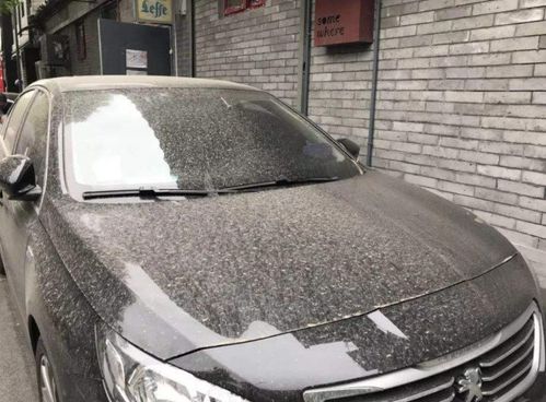 农药那玩意儿，对车漆有啥影响？