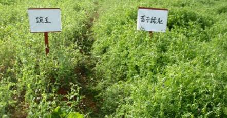 自制有机肥的视频